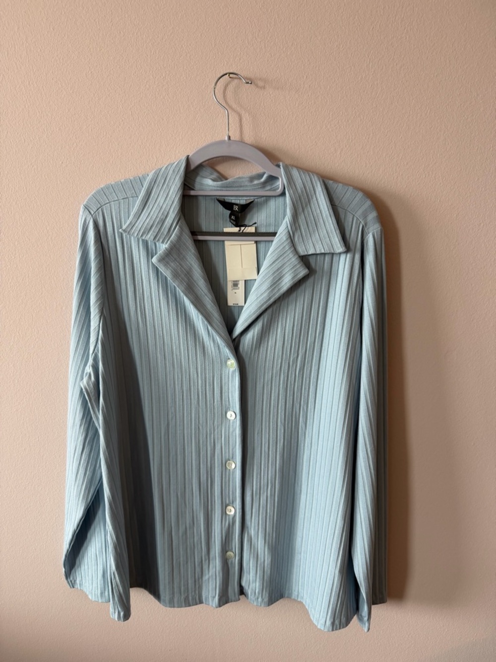 Banana Republic Light Blue Pleated Blouse